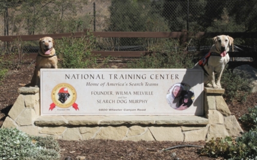 NTC Welcome Sign