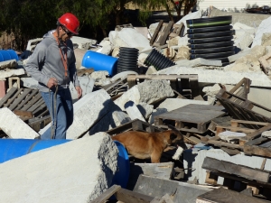 Training on the rubble