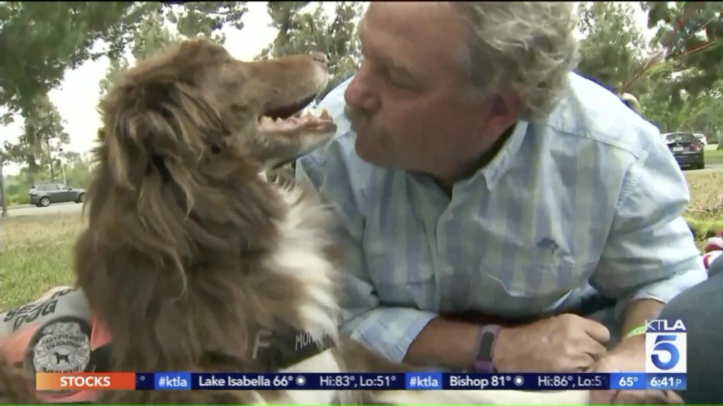 Hunter the dog was honored with a hero's farewell for helping to search for and rescue numerous people