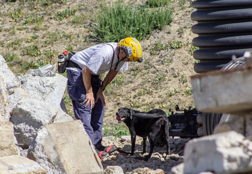 Search Teams From California Task Force 5 Train for Disasters at our National Training Center