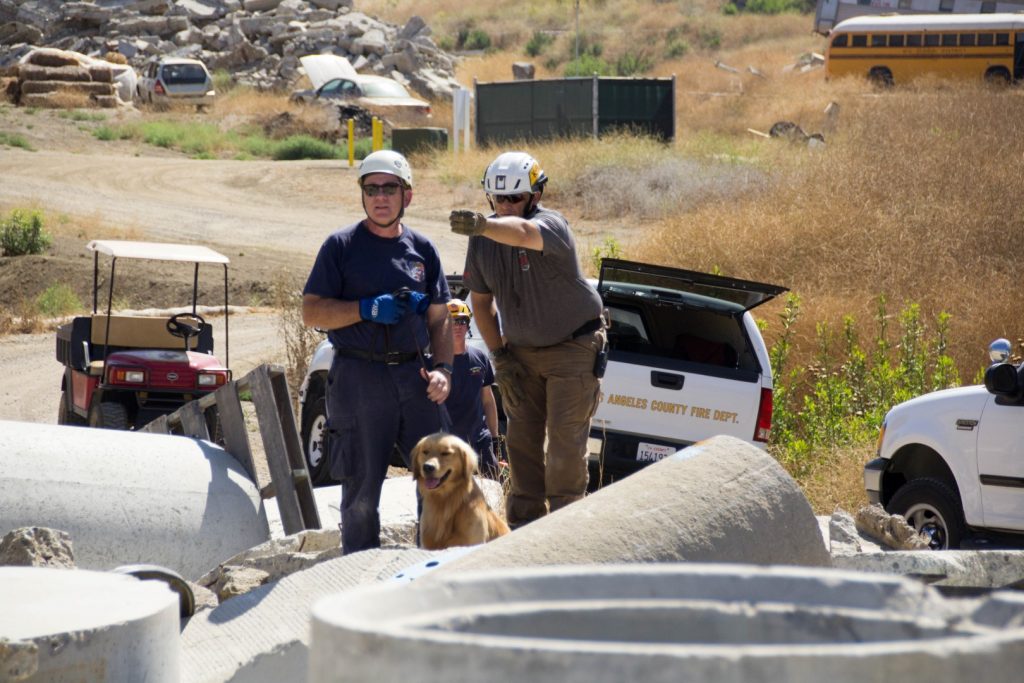 SDF Hosts Human Remains Detection Workshop at NTC