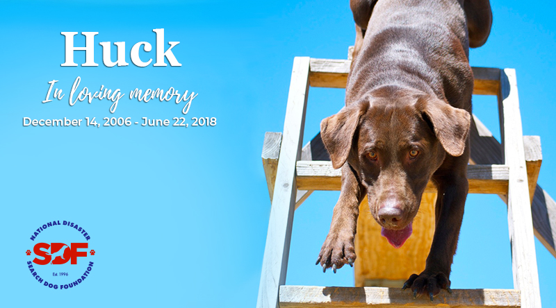 Huck (2006 – 2018)