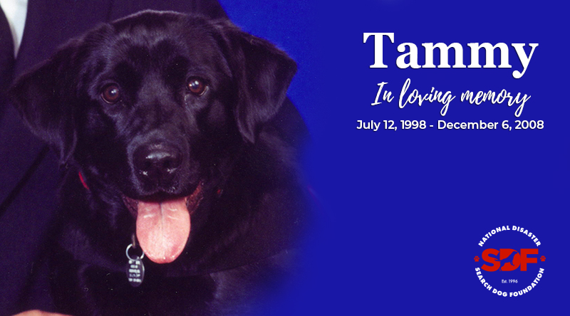 Tammy (1998 – 2008)