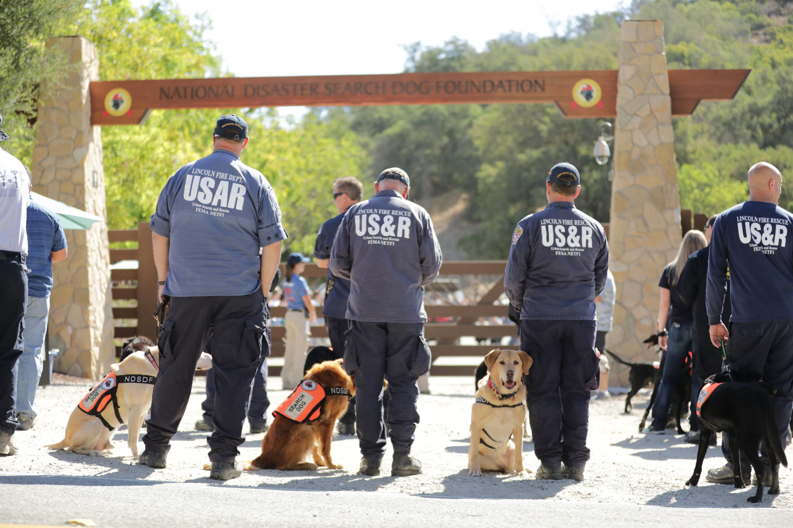 when were search and rescue dogs first used