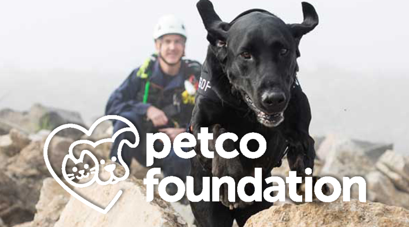 Search Dog Jake is featured as part of the Petco Foundation’s 