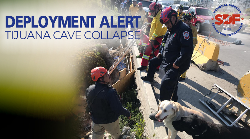 SDF's Baja California Search Teams respond to cave collapse in Tijuana