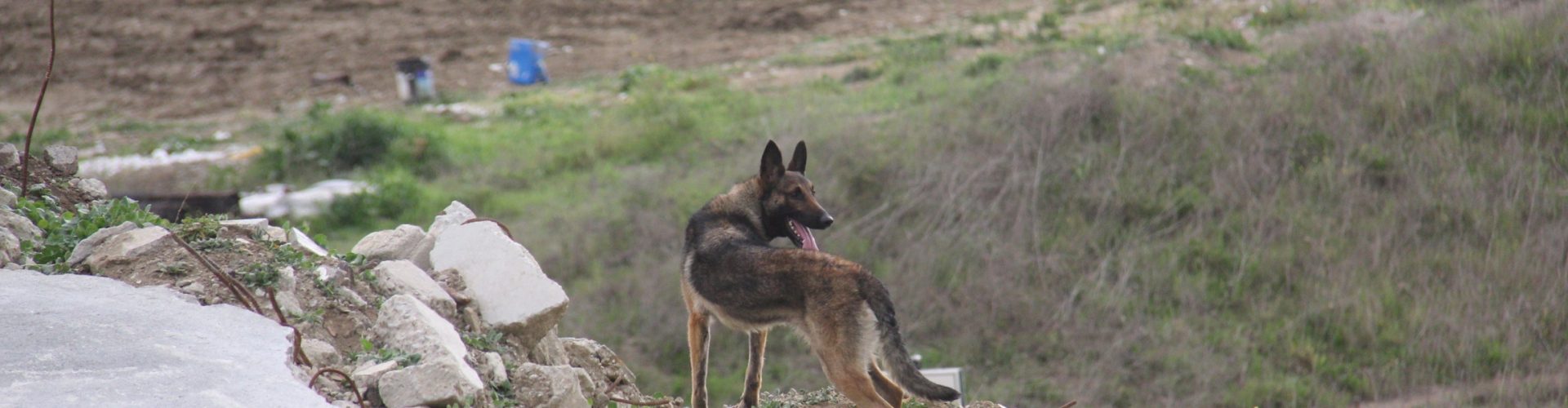 SDF hosts Human Remains Detection Workshop at NTC