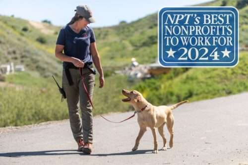 Search Dog Foundation named one of the Best Nonprofits to Work For 2024