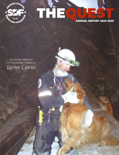 Get your paws on our Quest annual report!