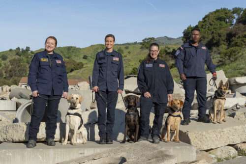 Congratulations to our four newest search teams!