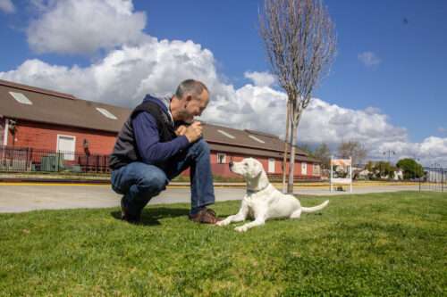 Potential Search Dog Application