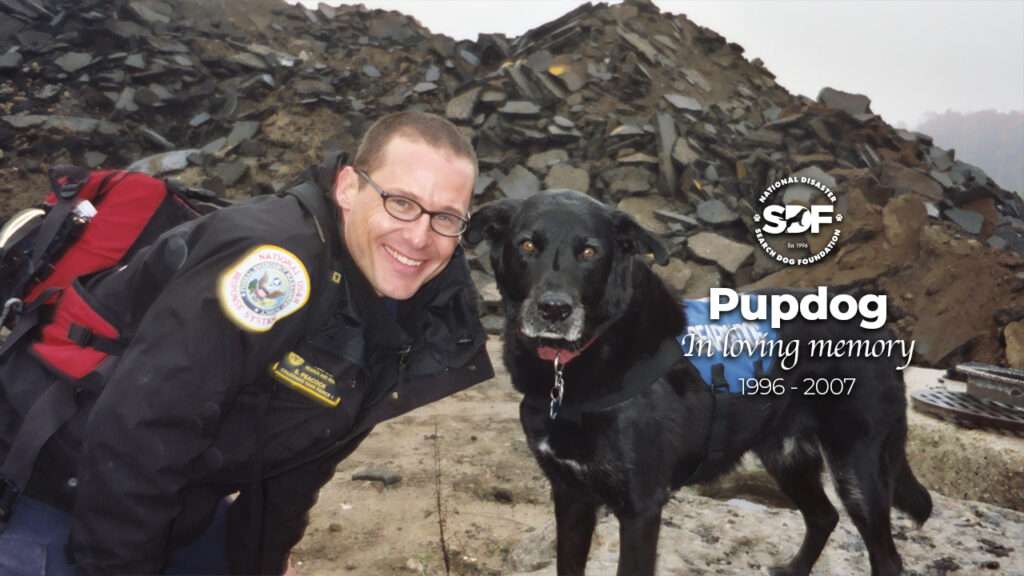 Pupdog (1996 - 2007)