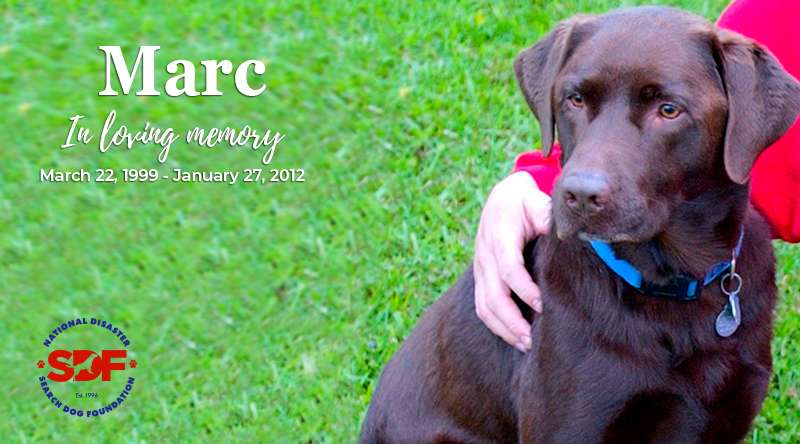 Marc (1999 - 2012)