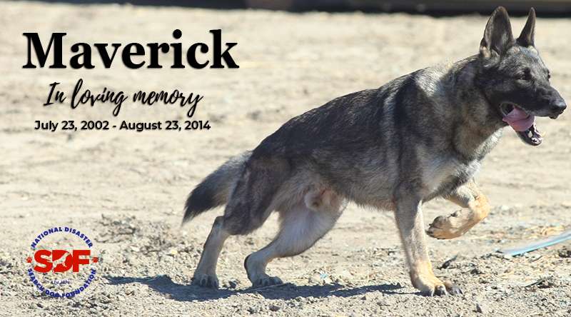 Maverick (2002 - 2014)