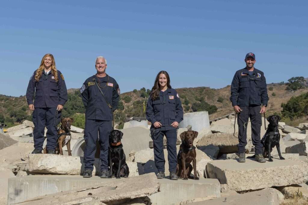 Congratulations to our four newest search teams!