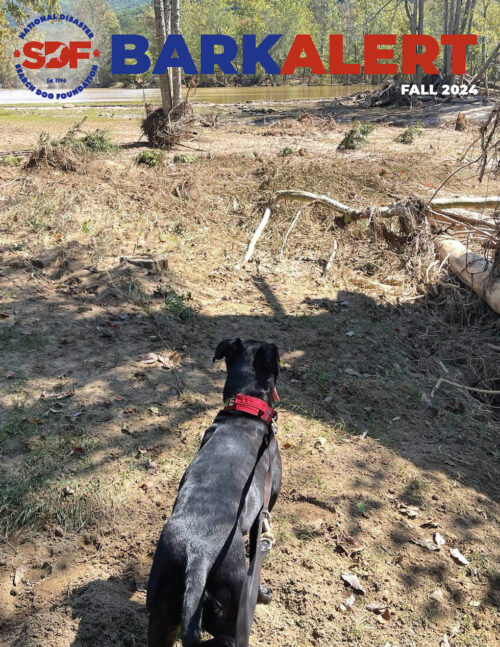 Get Your Copy of the 2024 Fall Bark Alert Magazine!