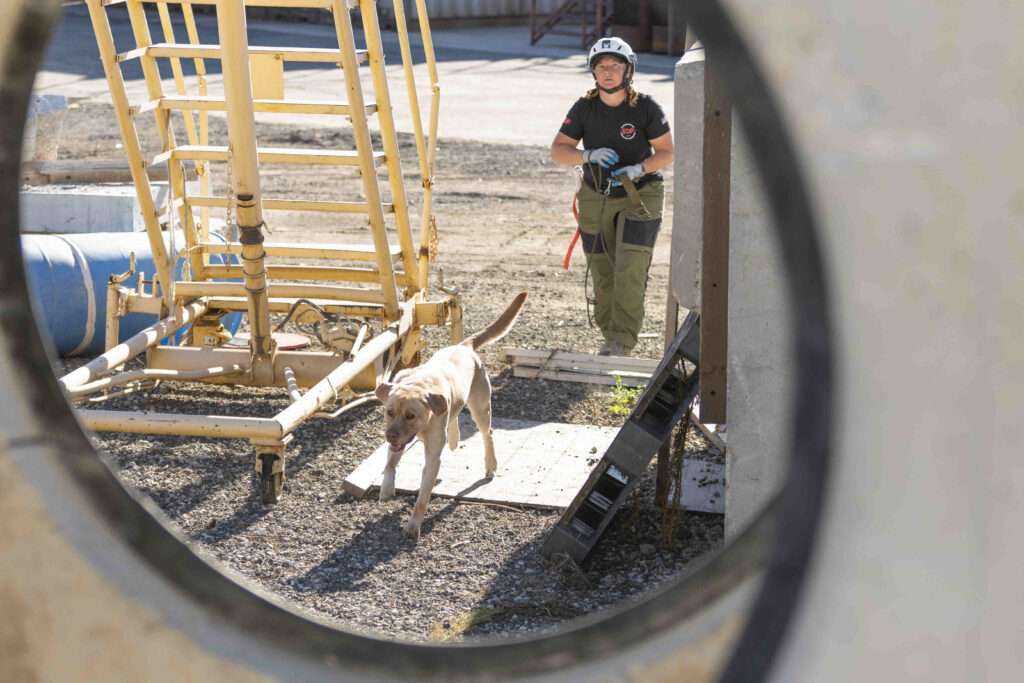 SDF's Handler Training Program: Building the foundation of human-canine partnership designed to save lives