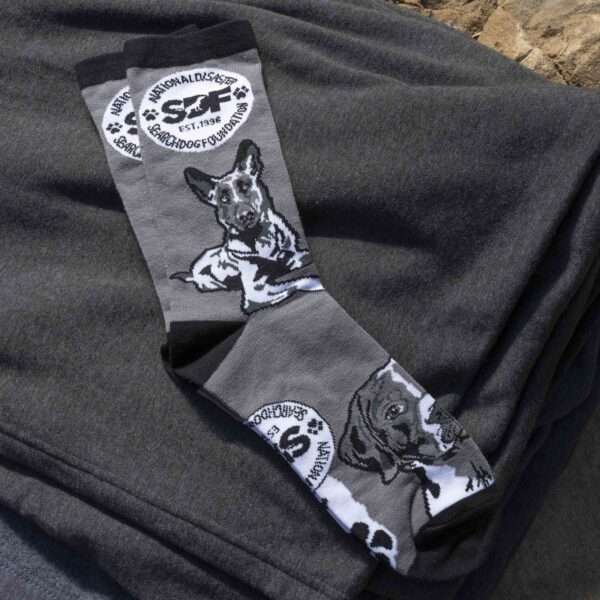 SDF Limited Edition Pledge Socks - Image 3