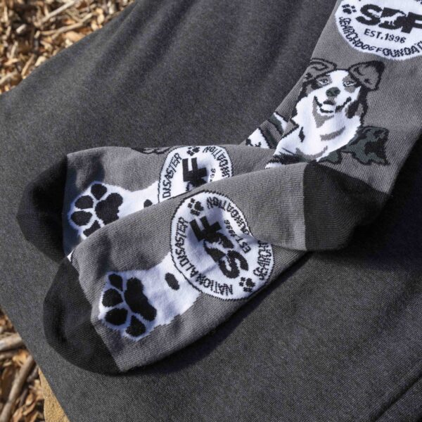 SDF Limited Edition Pledge Socks - Image 4