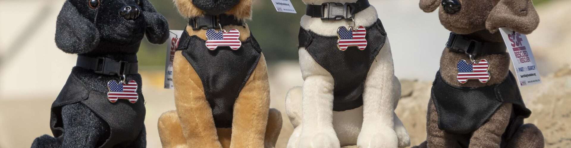 SDF Mini Search Dogs