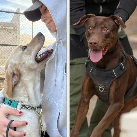 From troubled pasts to having a blast - Max and Chad are making the most of their second chances!