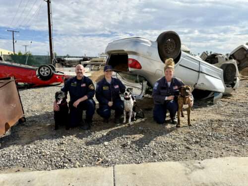 Congratulations to the canine disaster search teams that have achieved certification so far in 2025!