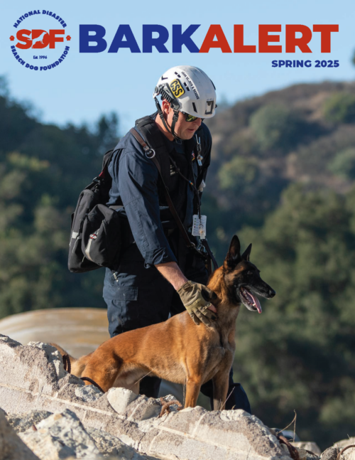 The Spring 2025 Bark Alert magazine is available now!