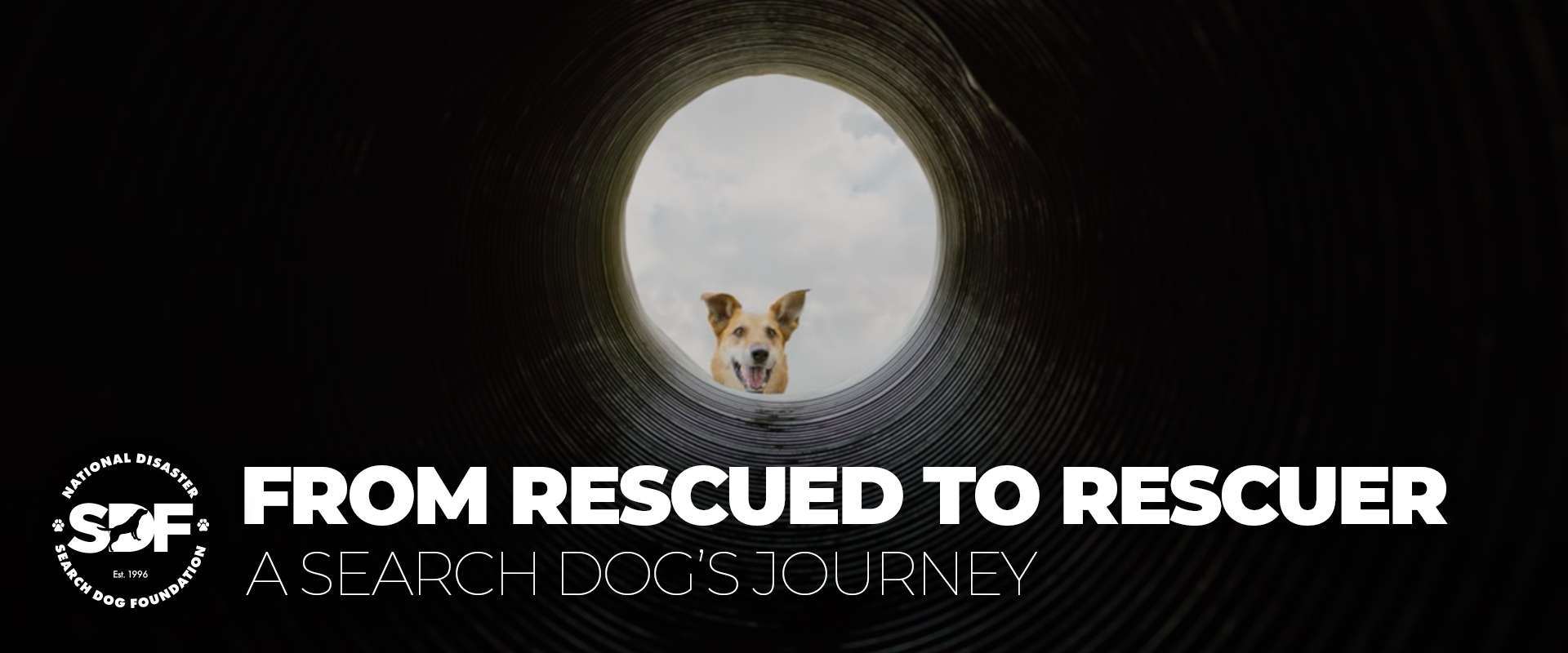 From Rescued to Rescuer